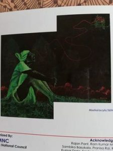 P1 225x300